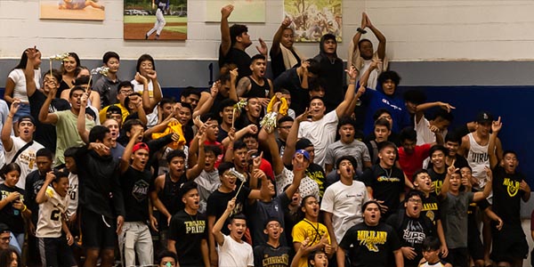 image of parents cheering in stands